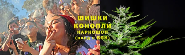 СК Арсеньев
