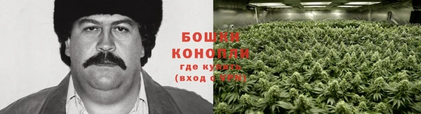 каннабис Алексеевка
