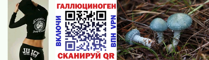 Галлюциногенные грибы мицелий  закладка  площадка как зайти  Тара 